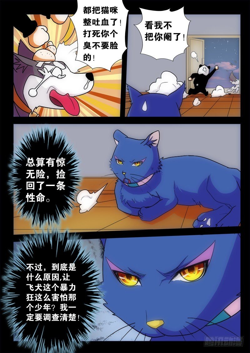 03 猫狗杀（下）-第4话