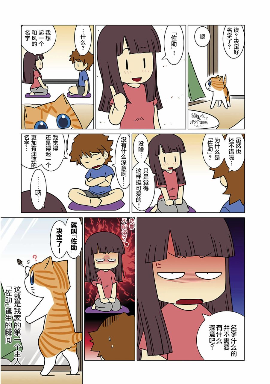 貓和我的日常 - 2話 - 2