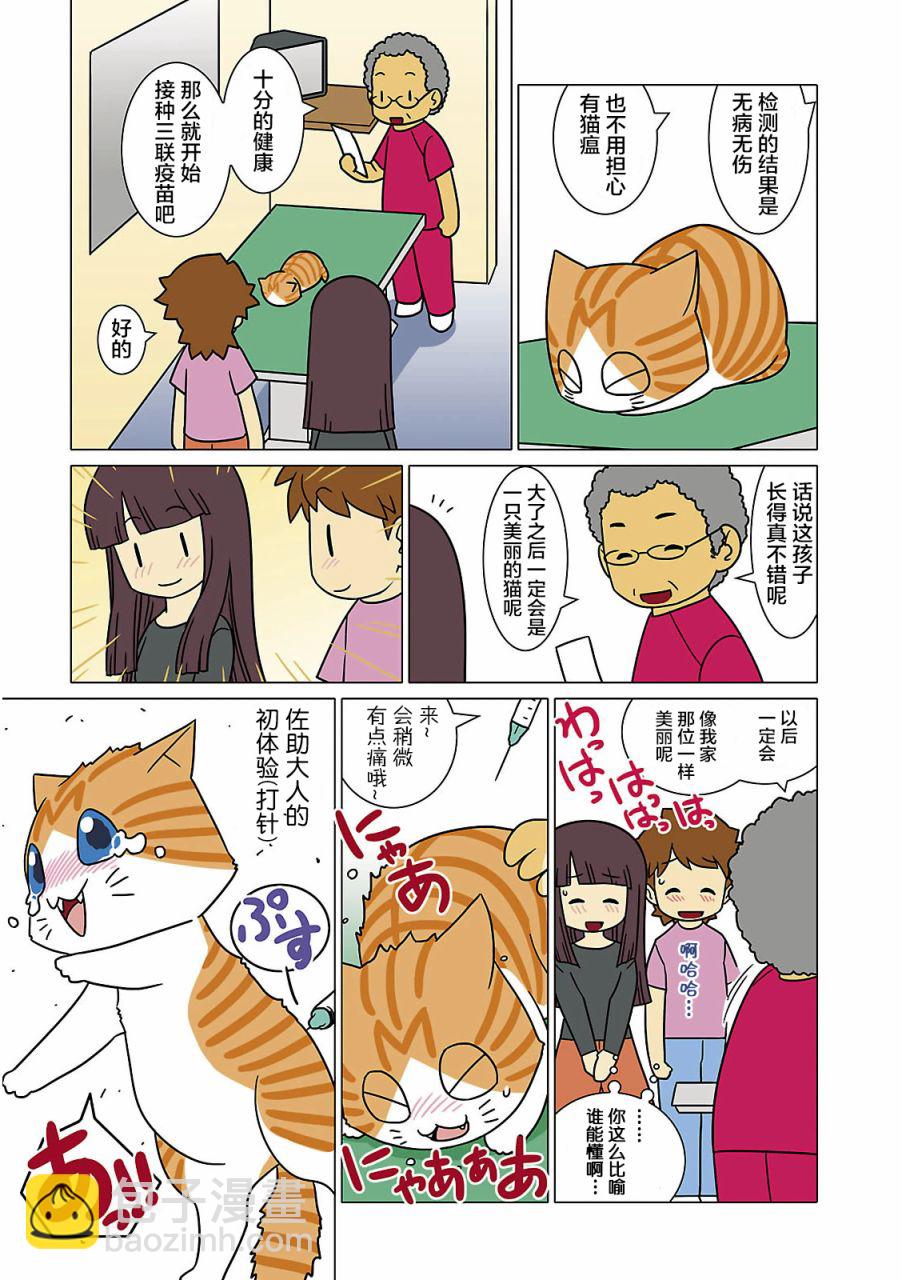 貓和我的日常 - 2話 - 1