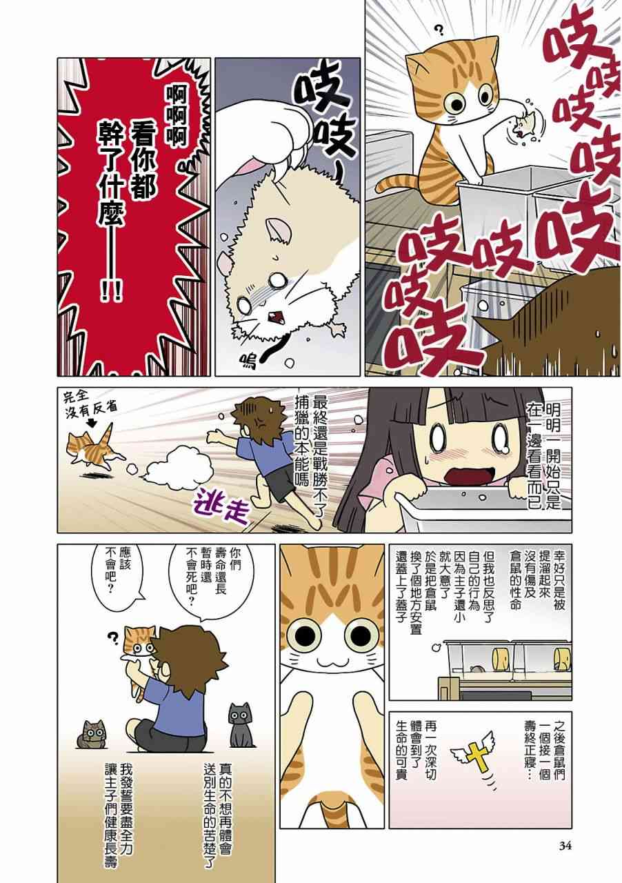 貓和我的日常 - 4話 - 2