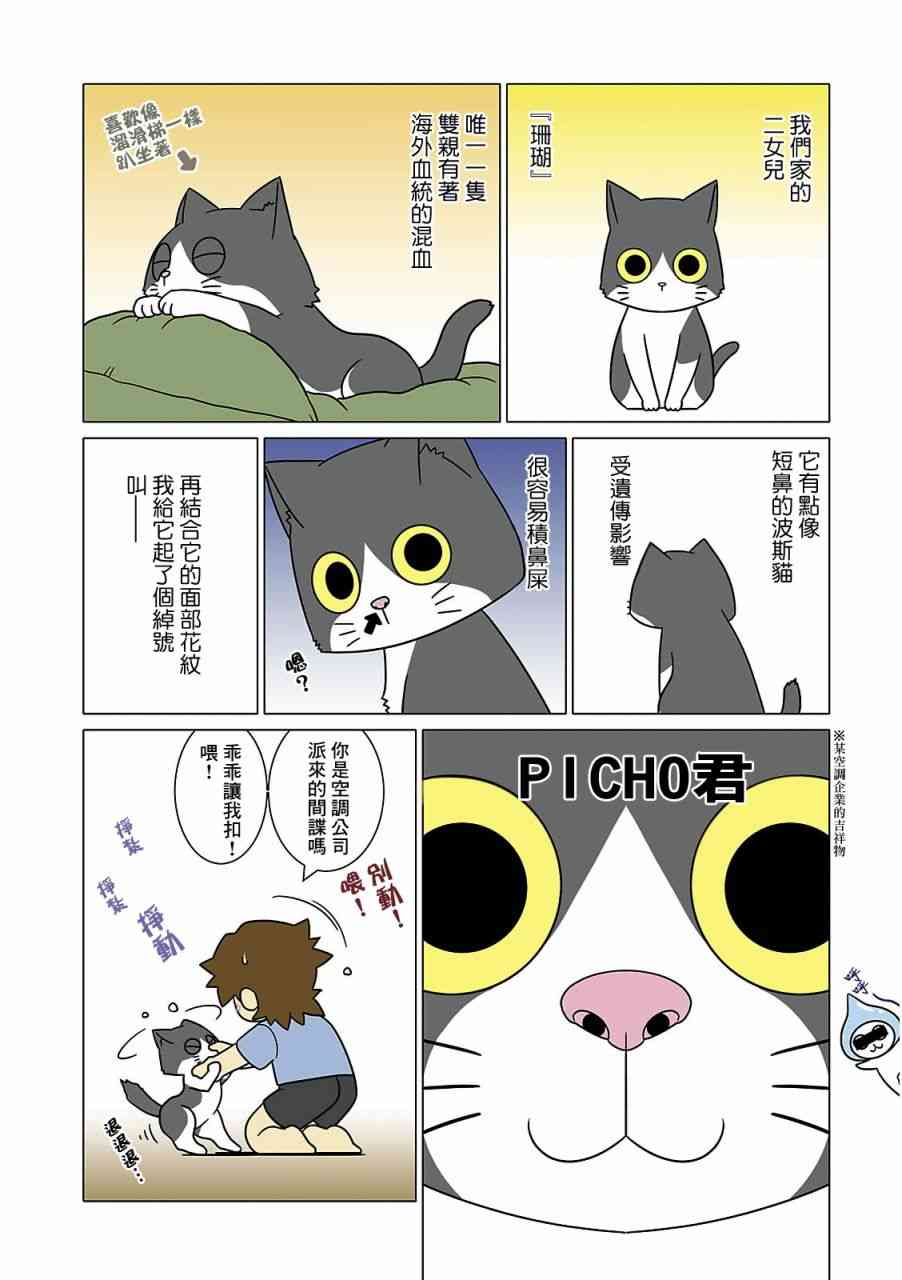 猫和我的日常 - 4话 - 1