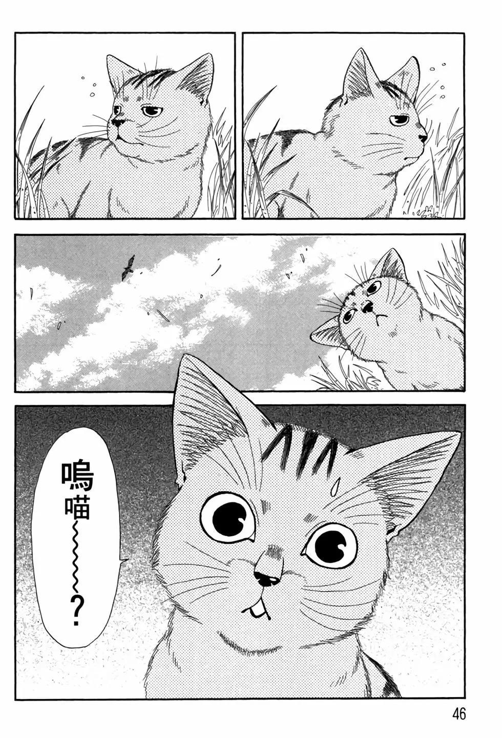 貓繪十兵衛 御伽草紙 - 電子版05(1/5) - 5