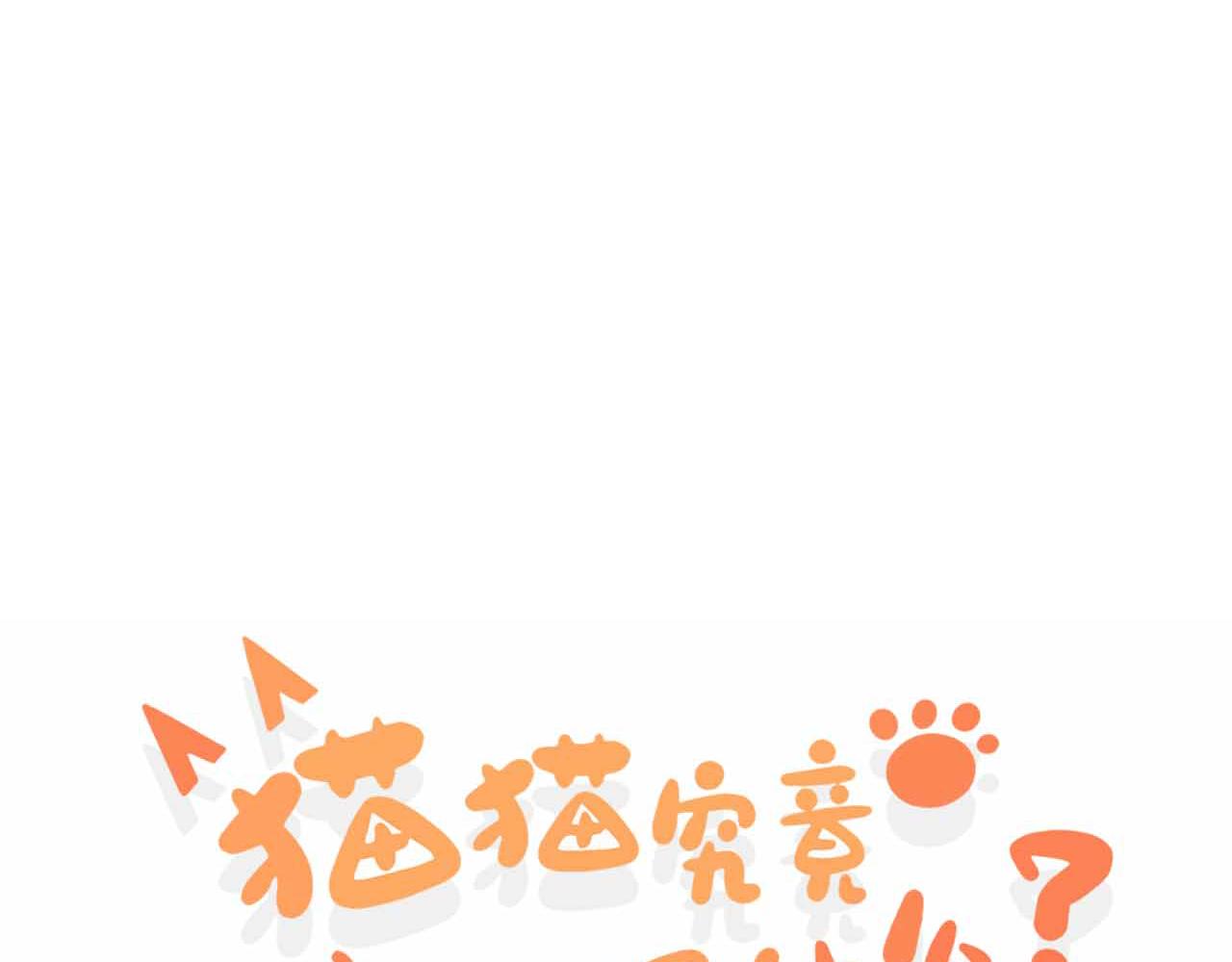 猫猫摔倒了！！(1/3)-第28话