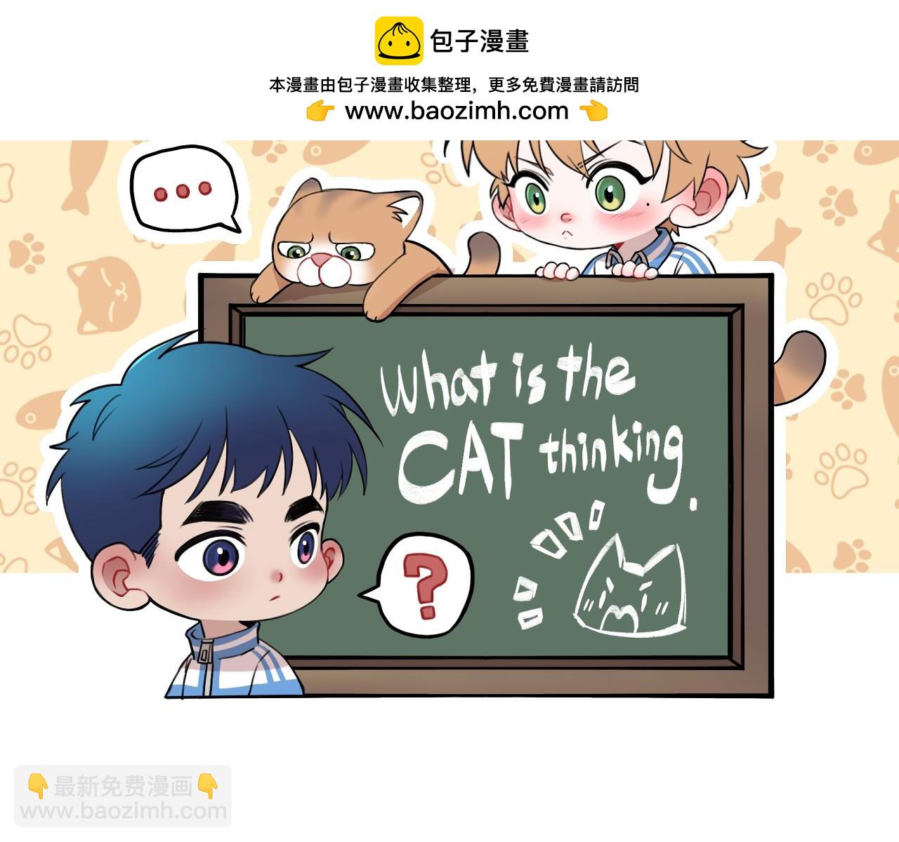 第14话 猫猫失去了一些东西(1/3)-第20话