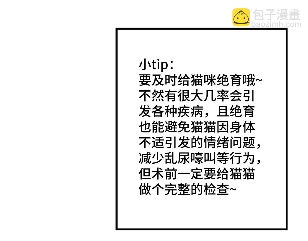 第14话 猫猫失去了一些东西(1/3)-第20话