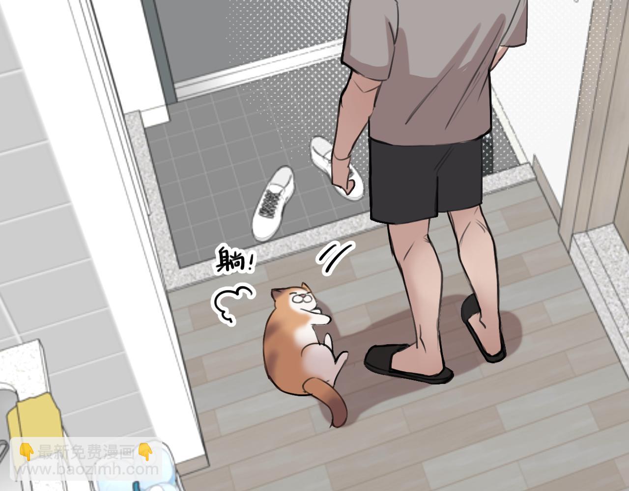 第18话 猫猫有不好的预感！(1/3)-第24话