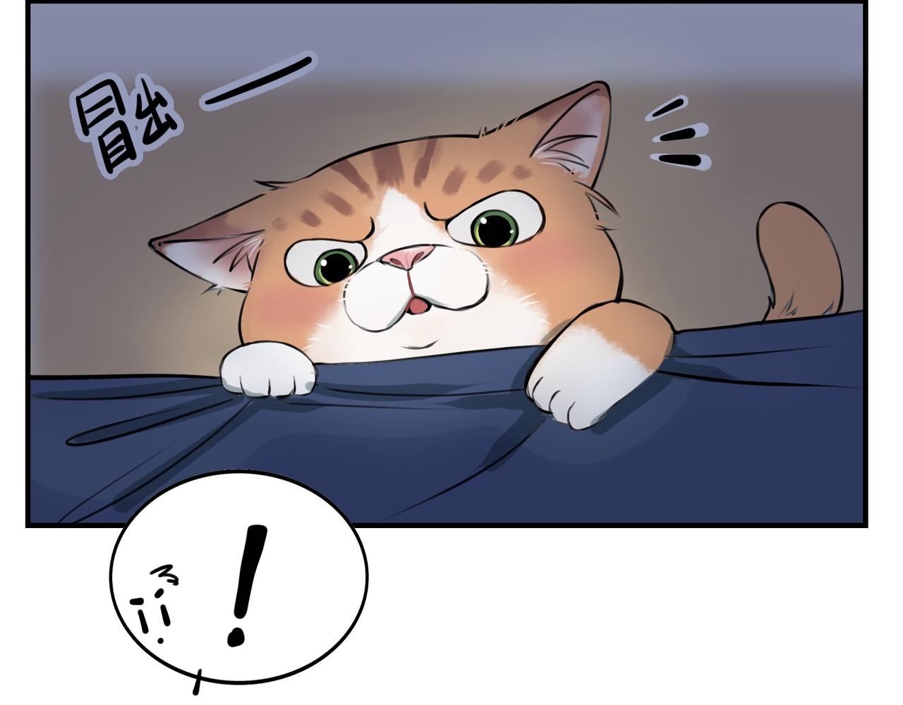 猫猫究竟在想什么？ - 第4话和猫猫说晚安~(1/3) - 6