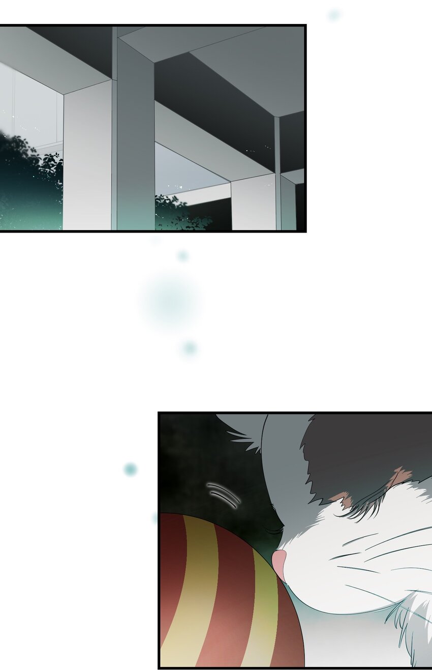 07 成为猫（上）(1/2)-第10话