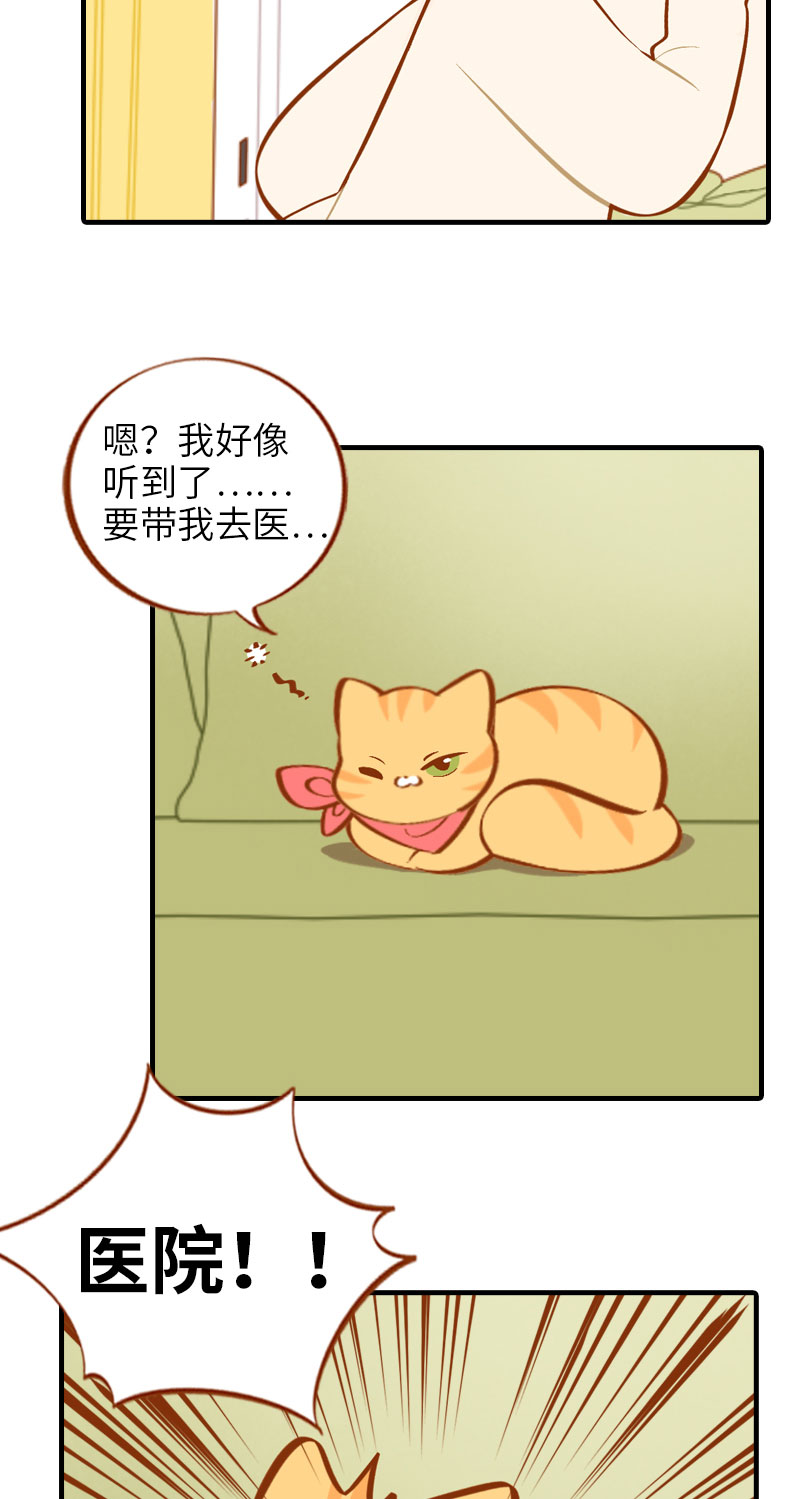 猫咪的人类饲养指南 - 第13话 橘子呼噜呼噜 - 2