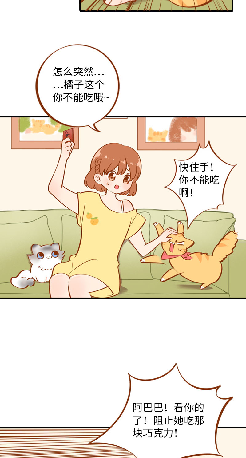 猫咪的人类饲养指南 - 第3话 不是我要吃肉是你吃蔬菜 - 2