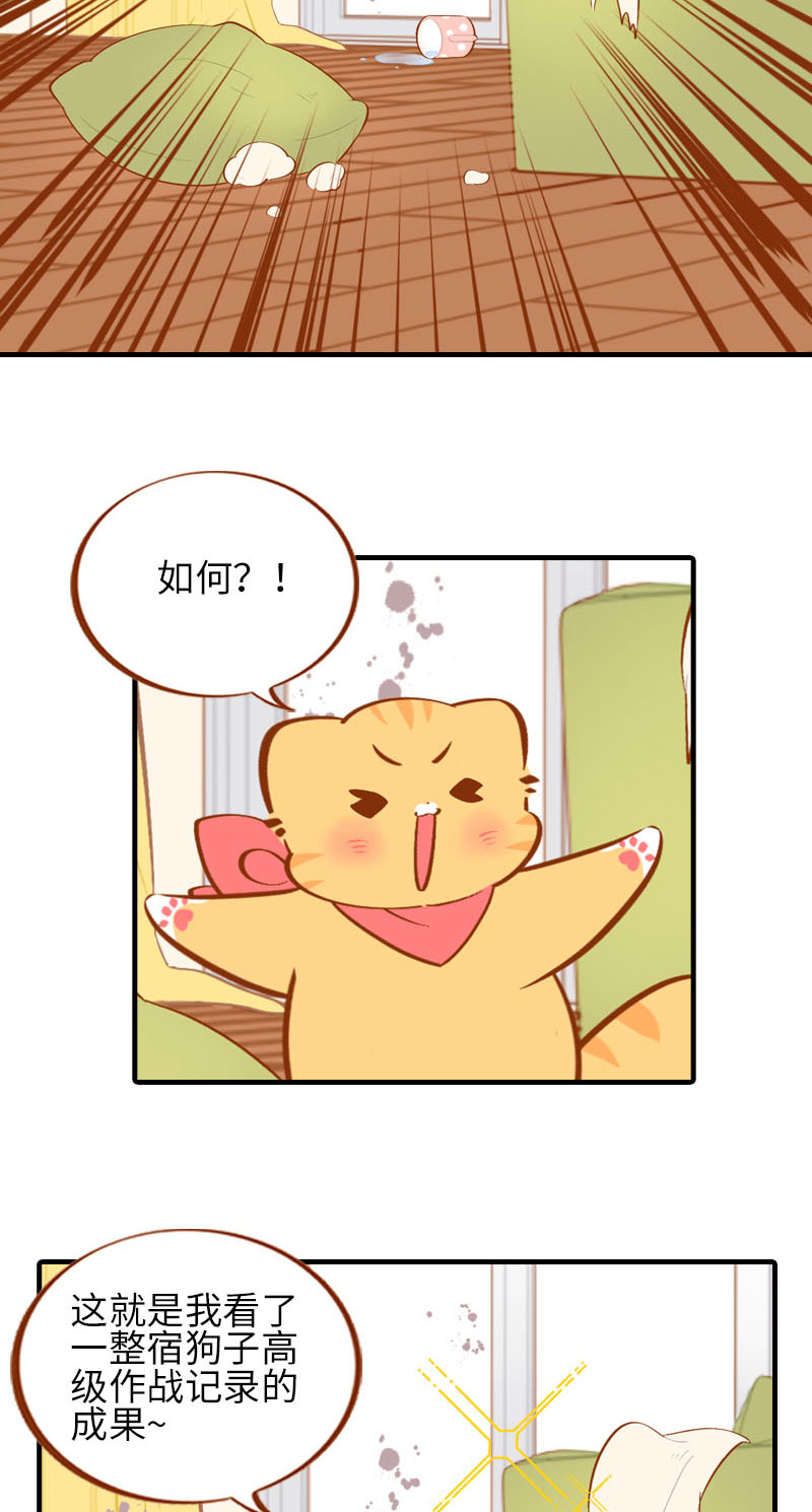 貓咪的人類飼養指南 - 第40話 養狗一日體驗 - 1