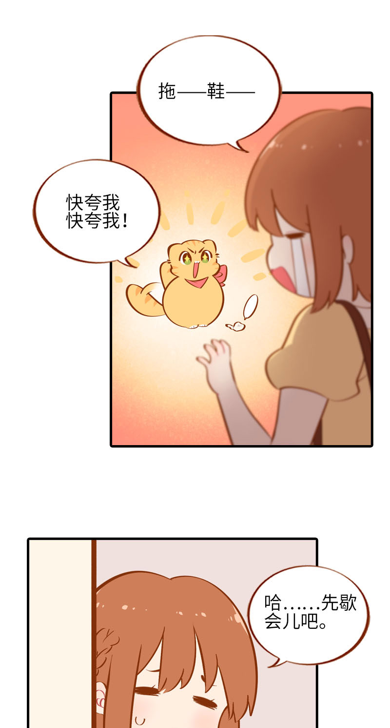 貓咪的人類飼養指南 - 第40話 養狗一日體驗 - 2