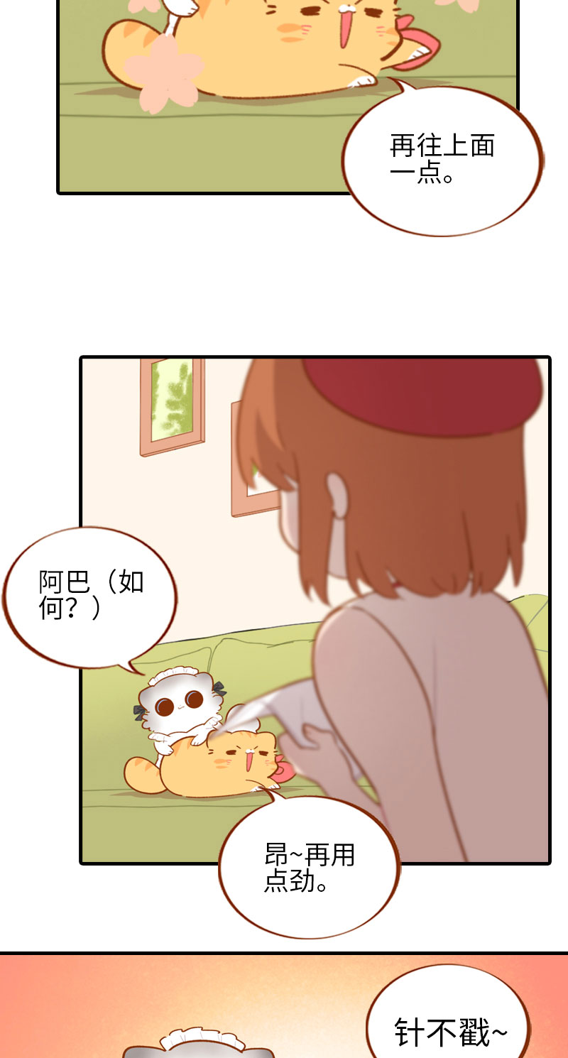 貓咪的人類飼養指南 - 第44話 貓咪的幸福生活（現象中） - 2