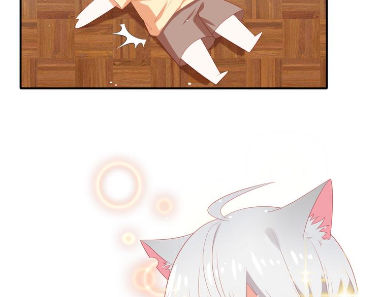 第2话 霸道总裁是猫控(1/3)-第2话