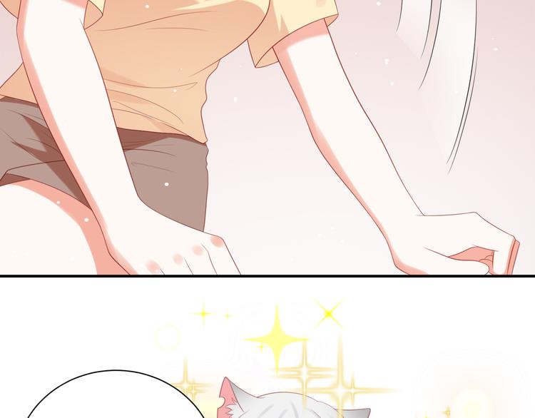 第2话 霸道总裁是猫控(1/3)-第2话