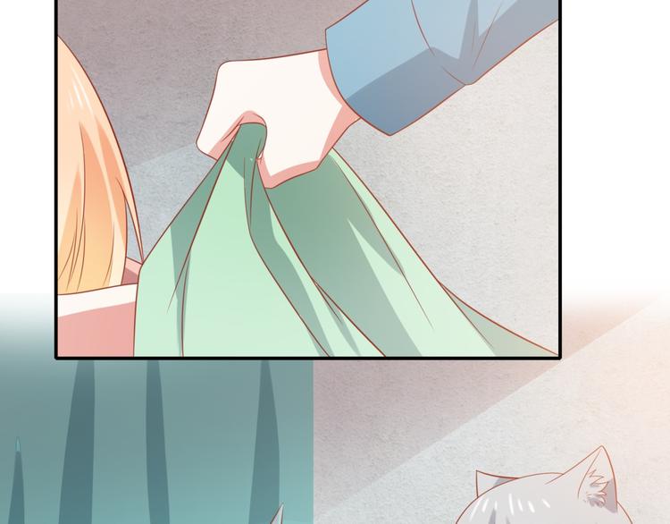 第14话 坏猫人企图勾结富贵(1/3)-第14话