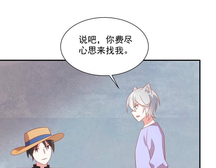 第14话 坏猫人企图勾结富贵(1/3)-第14话