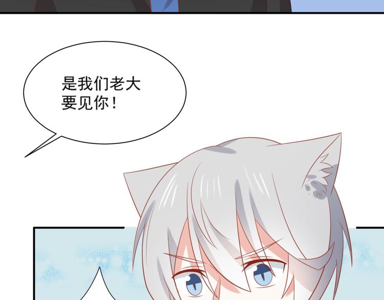 第14话 坏猫人企图勾结富贵(1/3)-第14话