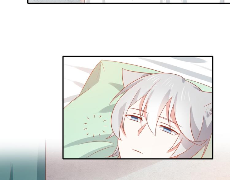 第14话 坏猫人企图勾结富贵(1/3)-第14话