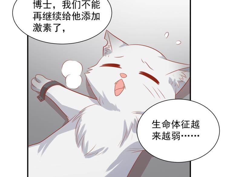 第20话 猫人危机来袭！(1/2)-第20话