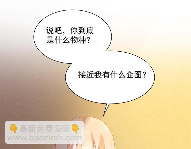 第8话 万能裁缝喵出山(1/3)-第8话