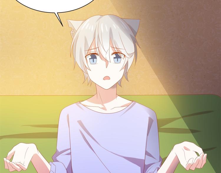 第8话 万能裁缝喵出山(1/3)-第8话