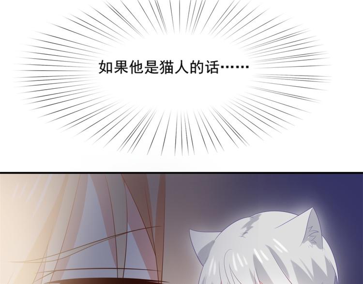 第8话 万能裁缝喵出山(1/3)-第8话