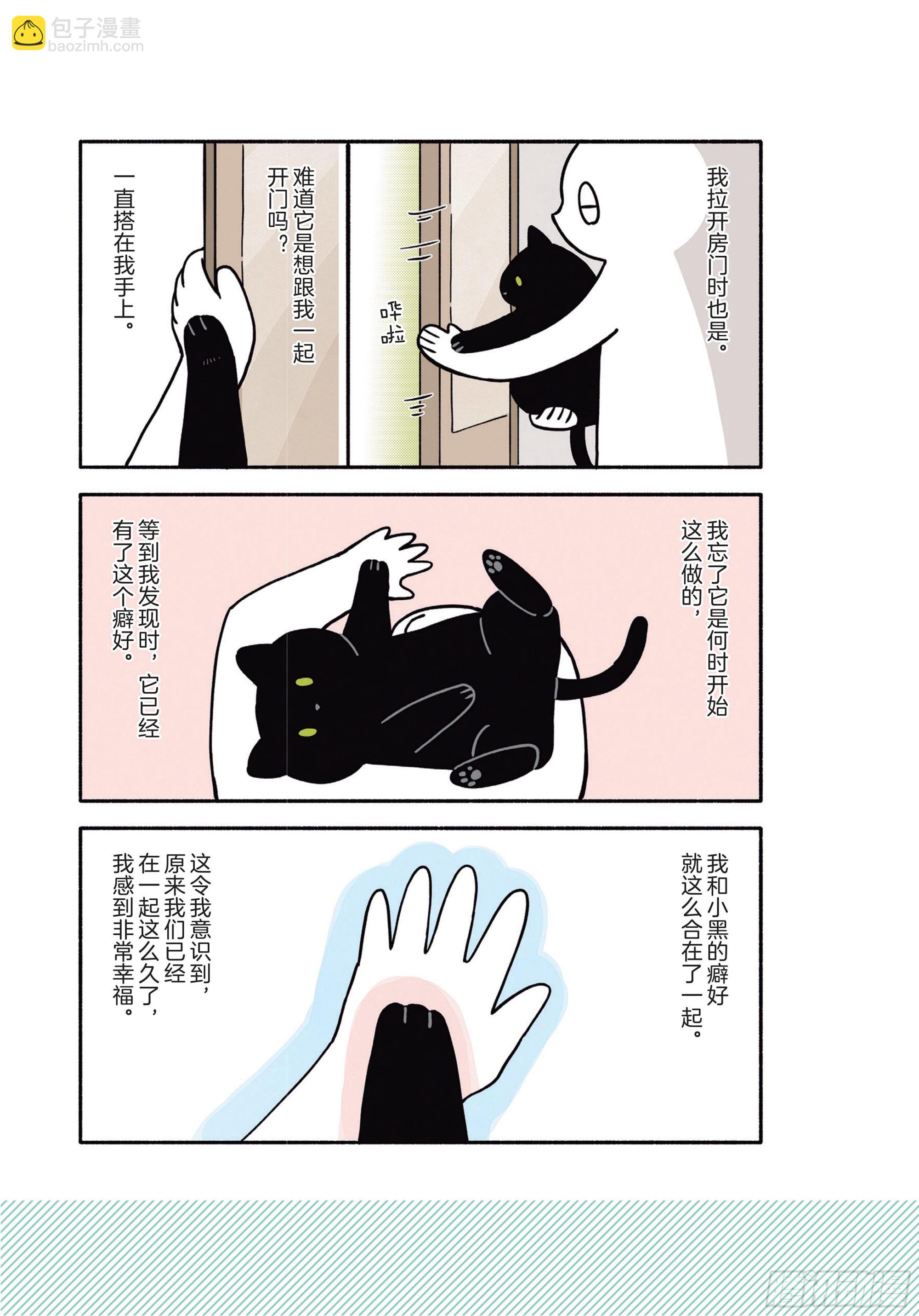 第5章 大懒猫17