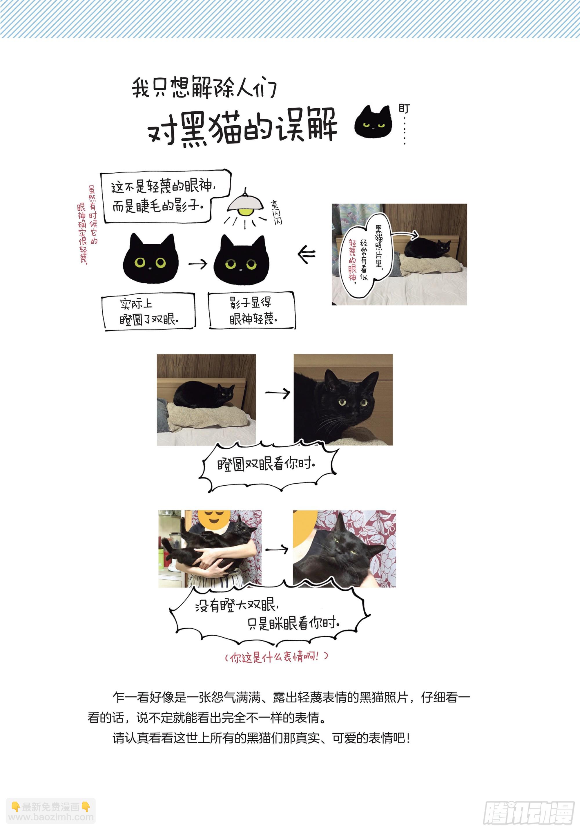 貓咪奇怪行爲圖鑑 - 第7章 開心 - 5