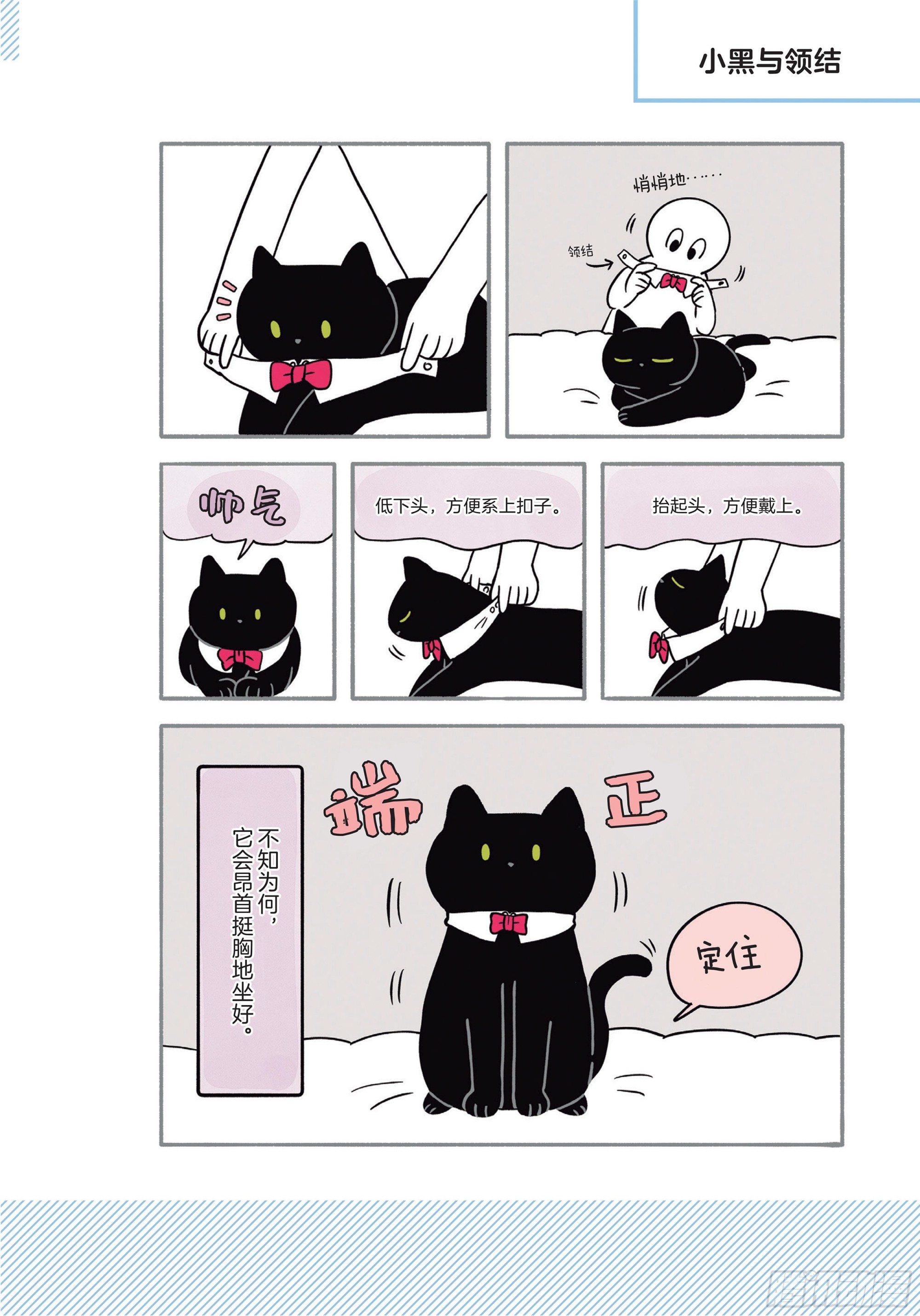 貓咪奇怪行爲圖鑑 - 第7章 開心 - 4
