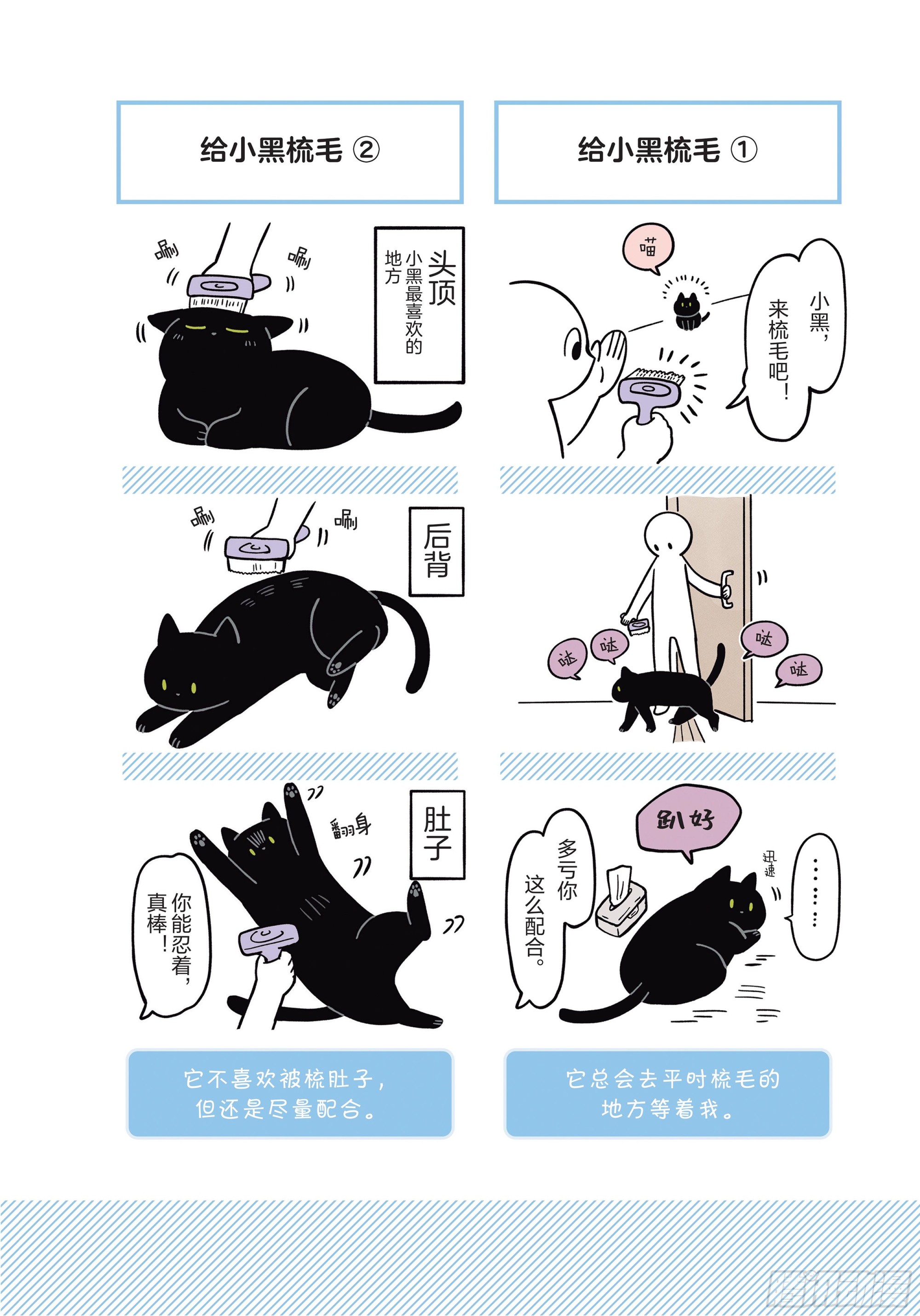 貓咪奇怪行爲圖鑑 - 第7章 開心 - 6