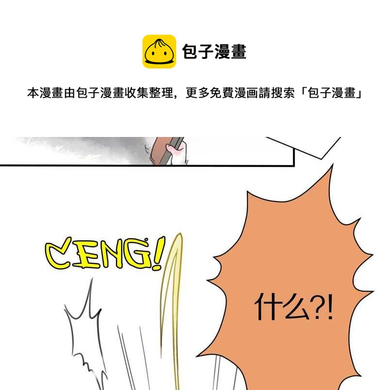 毛球星传说 第2集-第2话