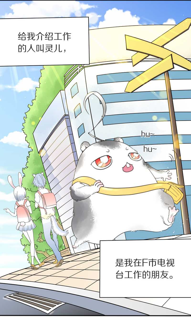 毛球星传说 第2集-第2话