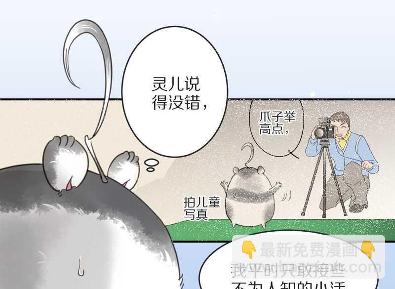 毛球星传说 第2集-第2话