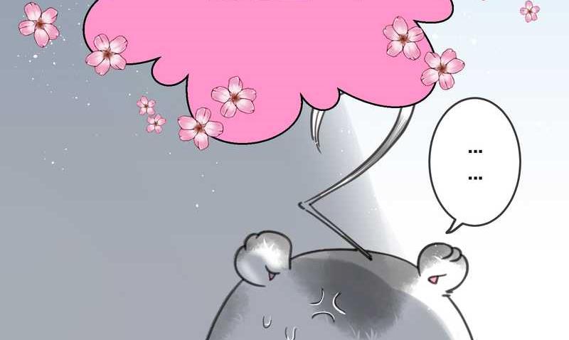 毛球星传说 第2集-第2话