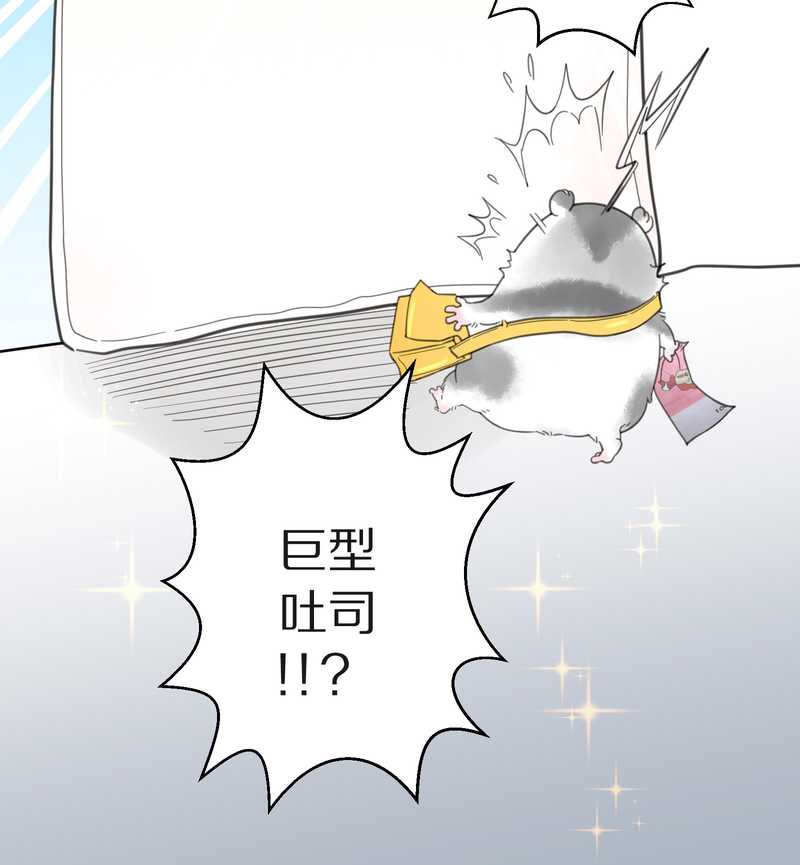 毛球星传说 第2集-第2话