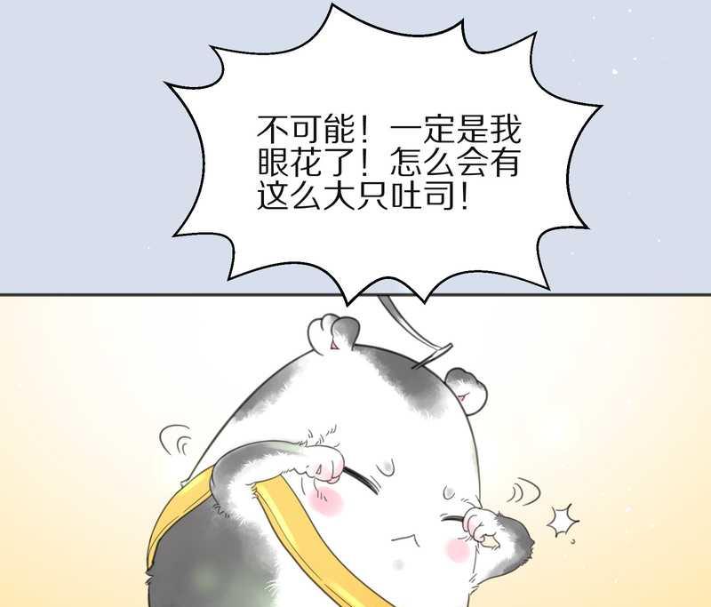 毛球星传说 第2集-第2话