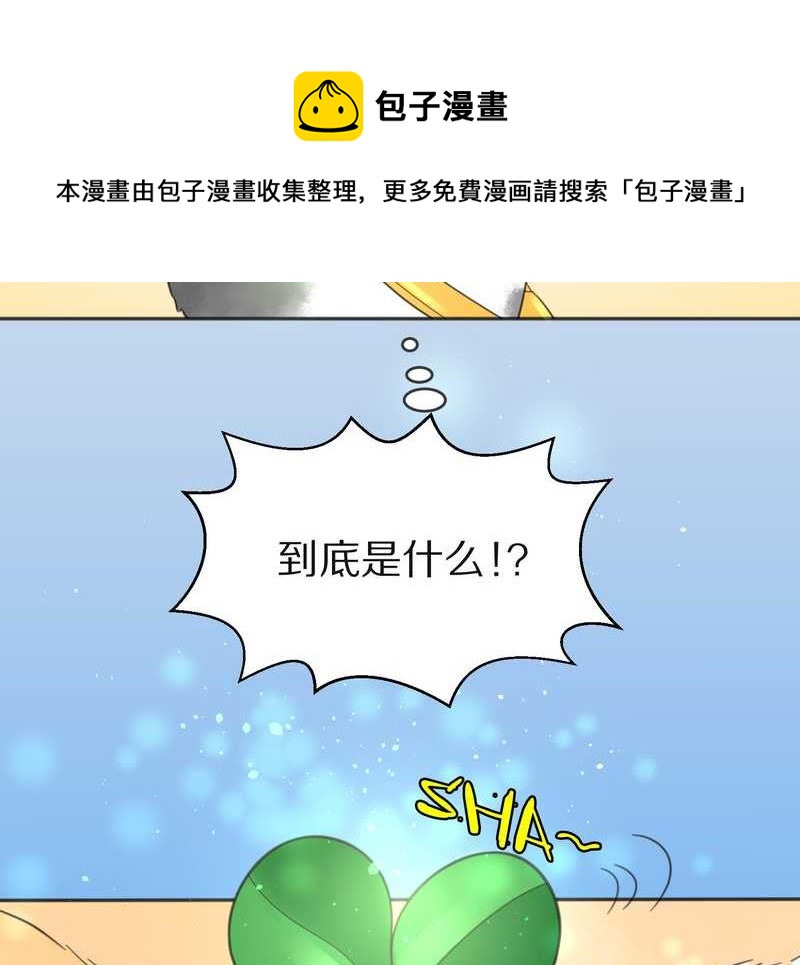 毛球星传说 第2集-第2话