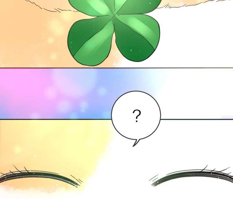 毛球星传说 第2集-第2话