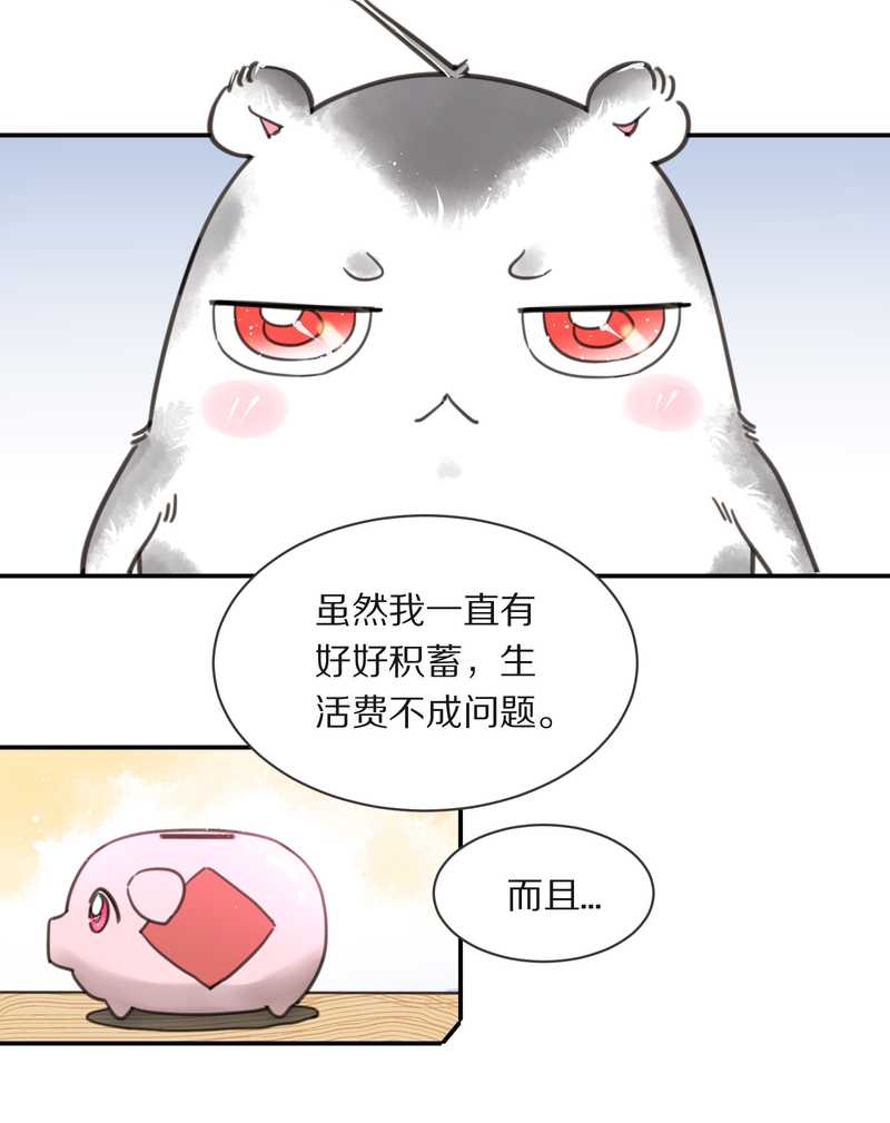 毛球星传说 第2集-第2话