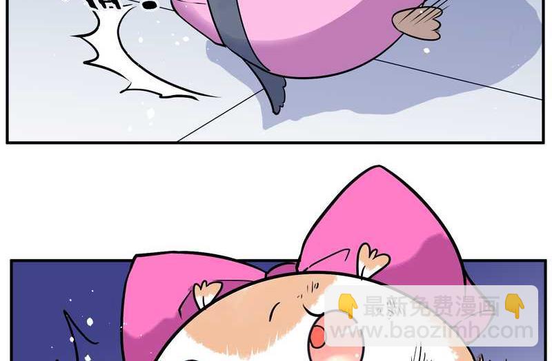 毛球星传说 第102集(1/3)-第102话