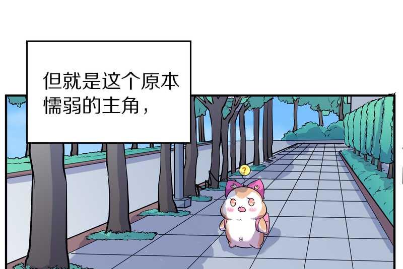 毛球星传说 第102集(1/3)-第102话