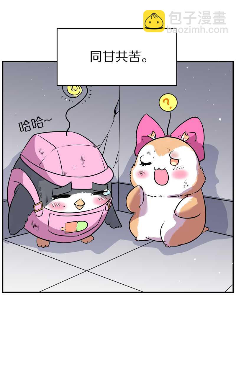 毛球星传说 第102集(1/3)-第102话