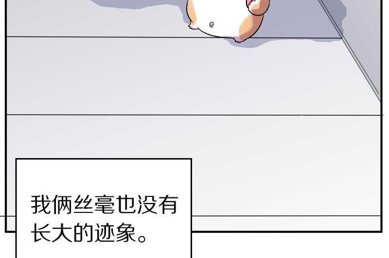 毛球星传说 第102集(1/3)-第102话