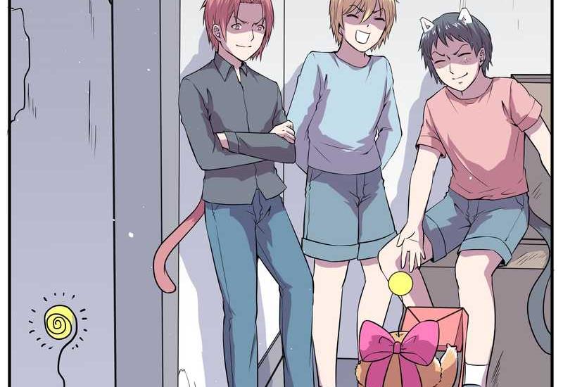 毛球星传说 第102集(1/3)-第102话