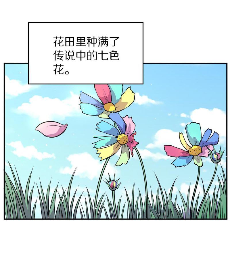 毛球星传说  第104集(1/3)-第104话