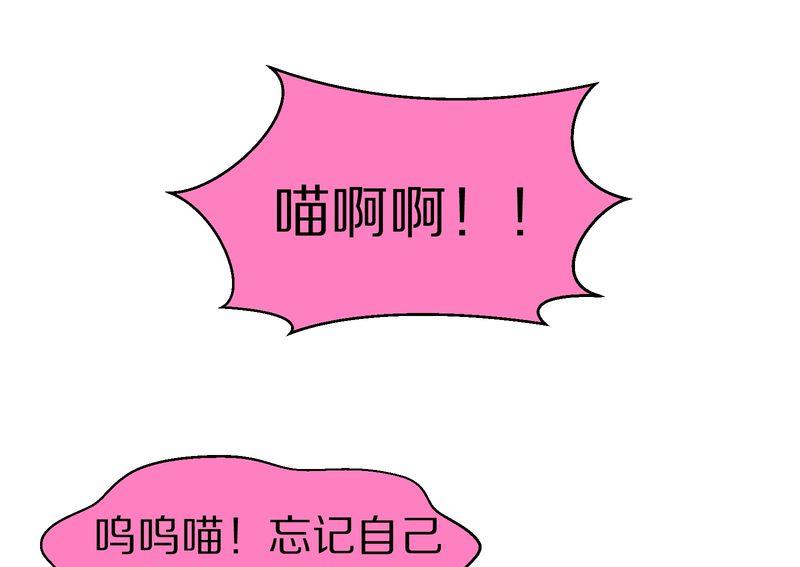 毛球星传说  第108集(1/3)-第108话