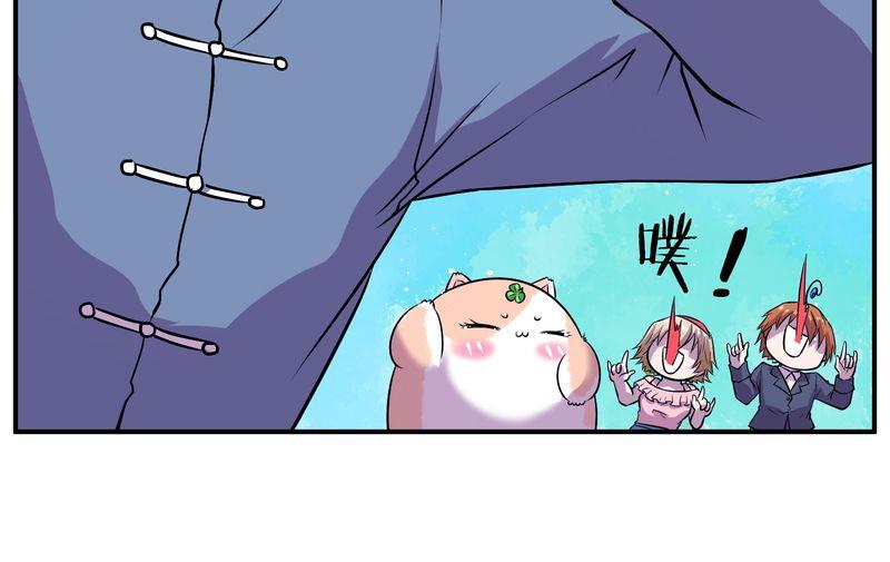 毛球星传说  第108集(1/3)-第108话