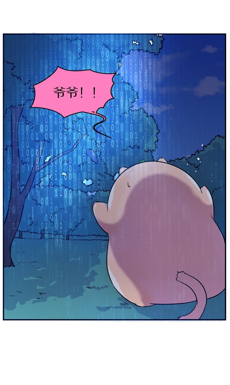 毛球星传说  第108集(1/3)-第108话