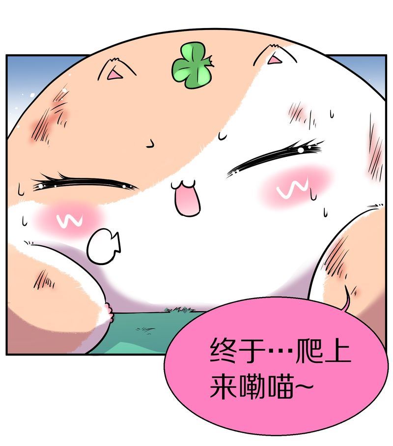 毛球星传说  第110集(1/3)-第110话